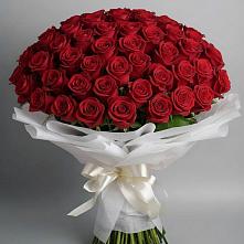 Букет 101 Красная роза Блэк Мэджик в Сосновоборске Пензенской области