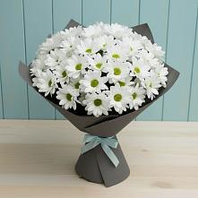 Букет цветов из:  Хризантемы в Сосновоборске Пензенской области