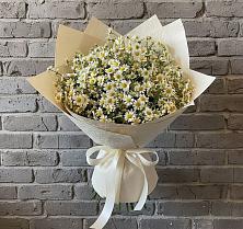 Букет цветов из:  Ромашки в Сосновоборске Пензенской области