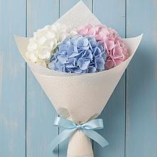 Букет цветов из:  Гортензия в Сосновоборске Пензенской области