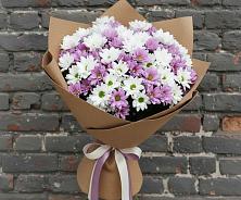 Букет цветов из:  Хризантемы в Сосновоборске Пензенской области