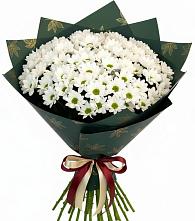 Букет цветов из:  Хризантемы в Сосновоборске Пензенской области