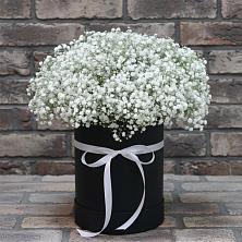 Цветочная композиция из Гипсофила в шляпной коробке в Сосновоборске Пензенской области
