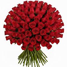 Букет Красные розы Чери Лав #REPLACE_PRED# Сосновоборске Пензенской области