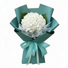 Букет цветов из:  Гортензия в Сосновоборске Пензенской области
